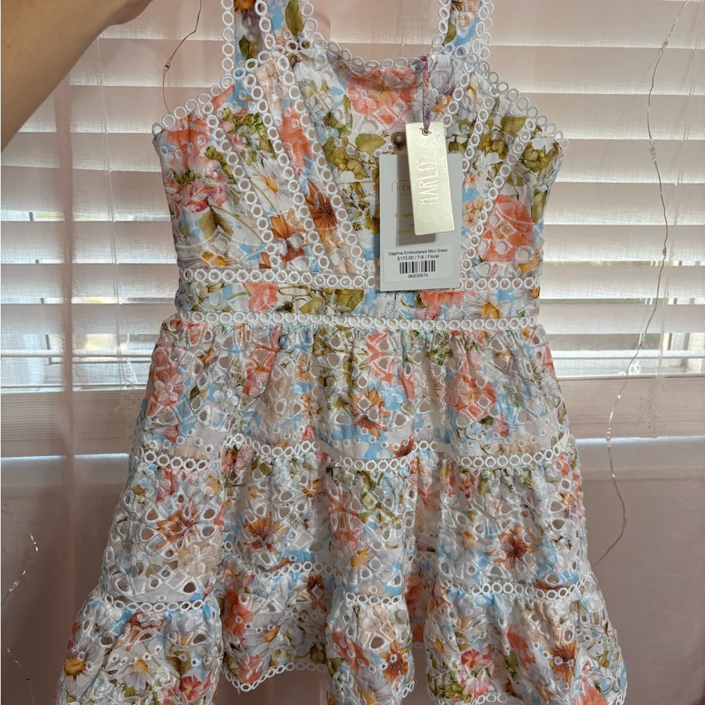 Marlow Multicolor Floral Lace Dress